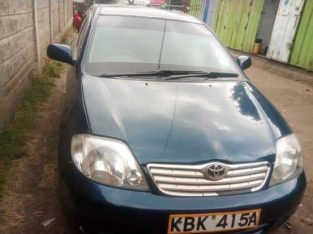 Toyota NZE