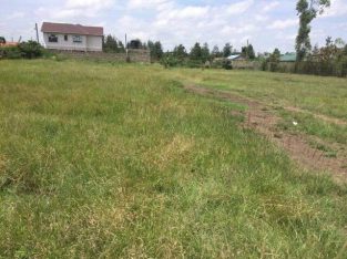 Plot for Sales