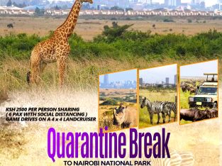 Quarantine Break to Nairobi National Park