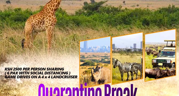 Quarantine Break to Nairobi National Park