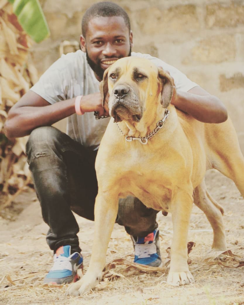 Dog Grooming & Cleaning Services.High Quality .