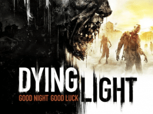 Dying Light Laptop/Desktop Computer Game.