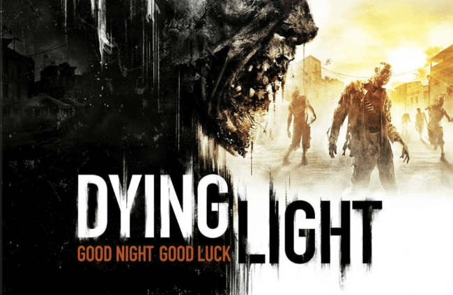 Dying Light Laptop/Desktop Computer Game.