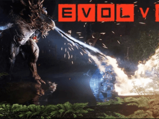 Evolve Laptop/Desktop Computer Game.