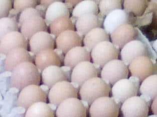 KIENYEJI EGGS