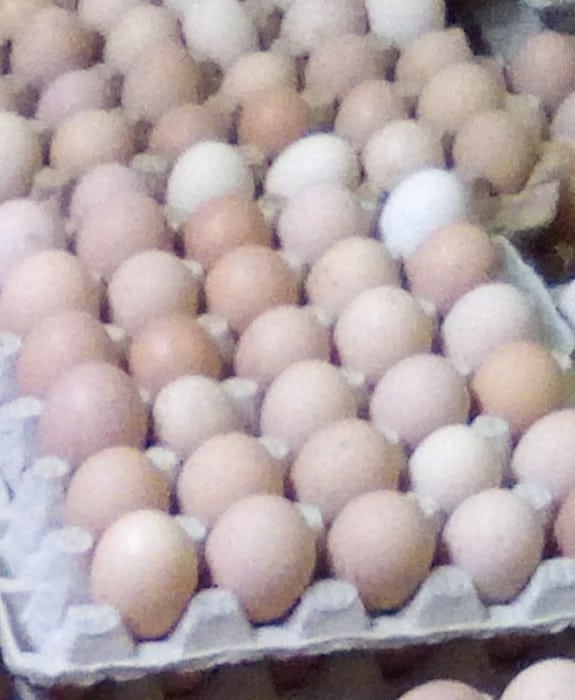 KIENYEJI EGGS