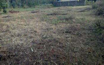 60*100 Prime Plot for Sale in Manguo near Limuru