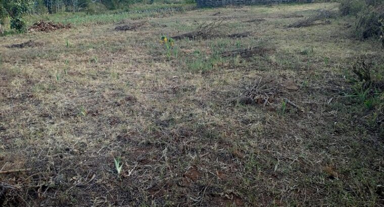 60*100 Prime Plot for Sale in Manguo near Limuru