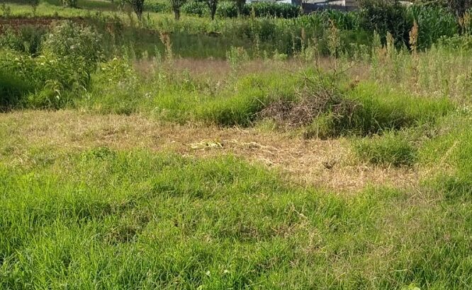 60*100 Prime Plot for Sale in Manguo near Limuru