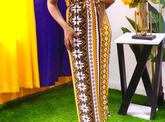 Free size fitting dresses