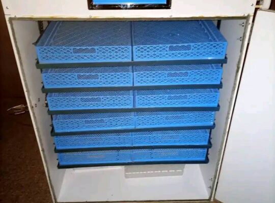 𝐄𝐆𝐆𝐒 𝐈𝐍𝐂𝐔𝐁𝐀𝐓𝐎𝐑𝐒 𝐏𝐑𝐈𝐂𝐄 𝐋𝐈𝐒𝐓