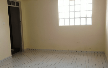 Bedsitter for rent