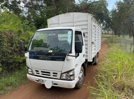 Isuzu NKR year 2019