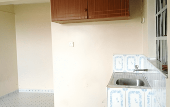 Spacious Bedsitter