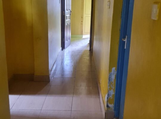 Houses to let in kitengela