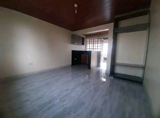 SPACIOUS BEDSITTERS AVAILABLE