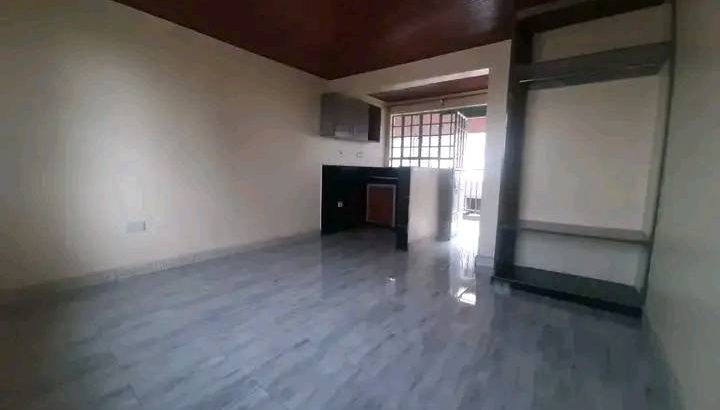 SPACIOUS BEDSITTERS AVAILABLE