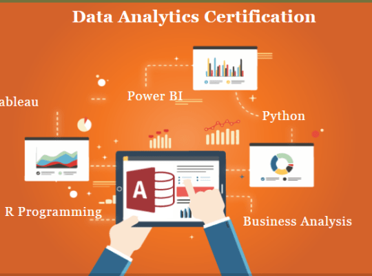 Data Analyst Certification Course in Delhi,110032.