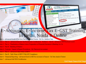 Tally Prime Course in Delhi, 110061, SAP FICO Cour