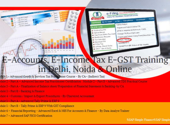 Tally Prime Course in Delhi, 110061, SAP FICO Cour